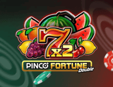 Pinco Fortune Pinco Fortune